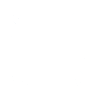 dark logo